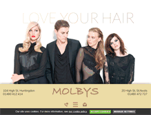 Tablet Screenshot of molbyshair.com
